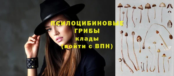 крисы Абинск
