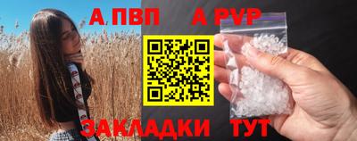сатива Кузнецк