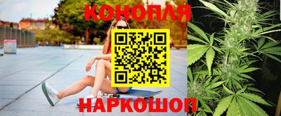 сатива Кузнецк