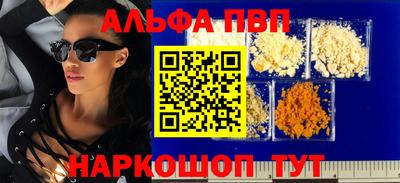 сатива Кузнецк
