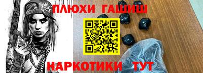 сатива Кузнецк