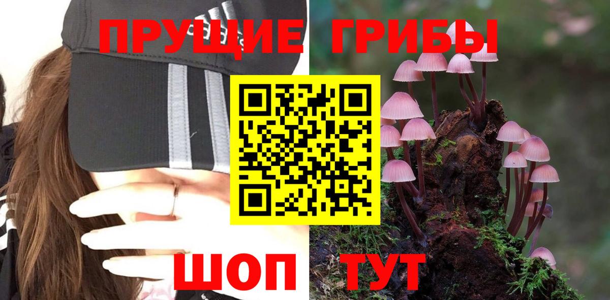 Новокузнецк  Галлюциногенные грибы ЛСД  Псилоцибиновые грибы Psilocybe  Вход с VPN 